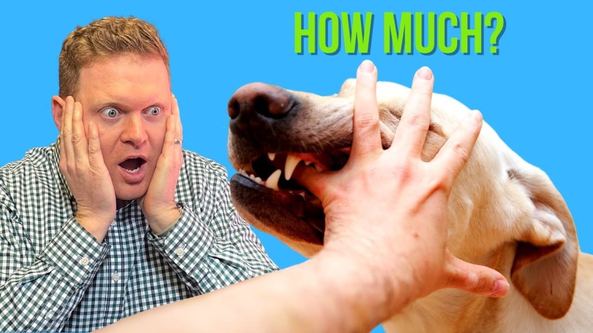 Dog Bite Injuries Sometimes Pay Big